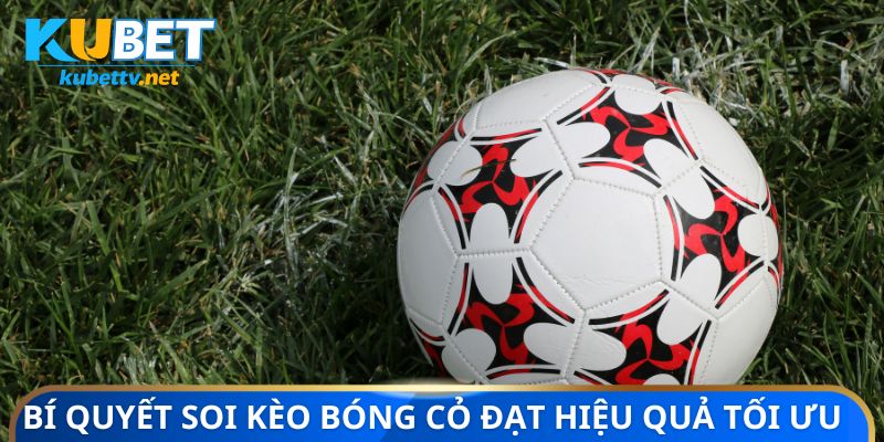 Bí quyết soi kèo bóng cỏ đạt hiệu quả tối ưu