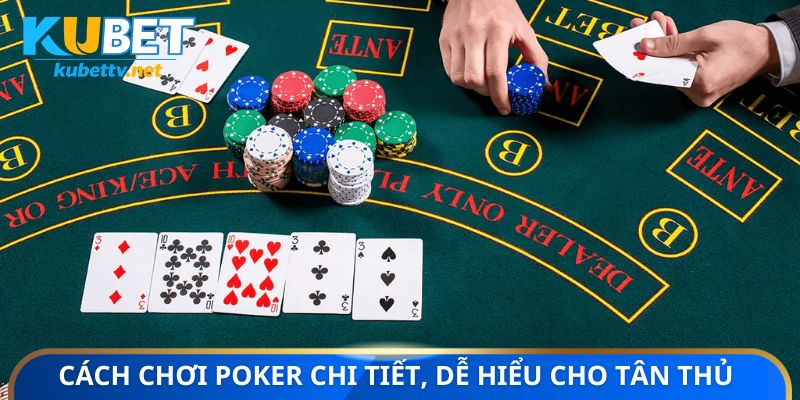 Cách chơi Poker chi tiết, dễ hiểu cho tân thủ