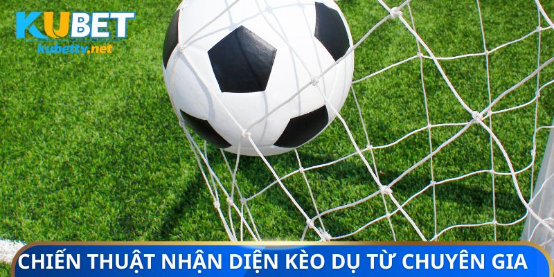 Chiến thuật nhận diện kèo dụ từ chuyên gia