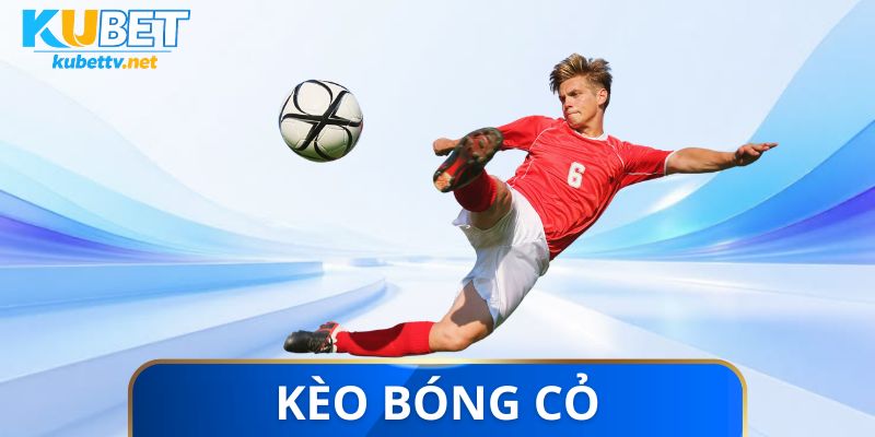Kèo bóng cỏ