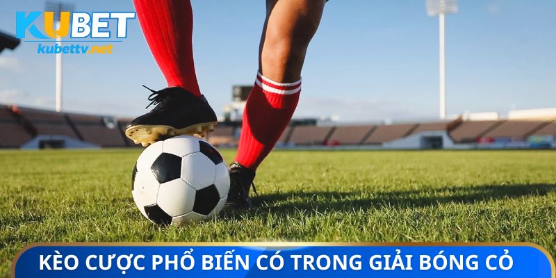 Những loại kèo cược phổ biến có trong giải bóng cỏ