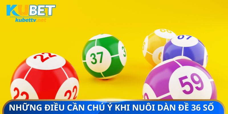 Những điều cần quan tâm khi nuôi dàn đề 36 số