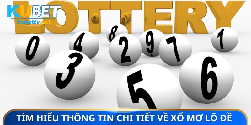 Tìm hiểu thông tin chi tiết về xổ mơ lô đề